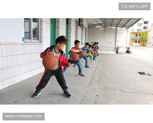 乐冠体育：专注青少年体育培训与赛事组织的全面解决方案